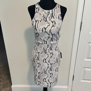 Express Black and White Snake Print Mini Dress